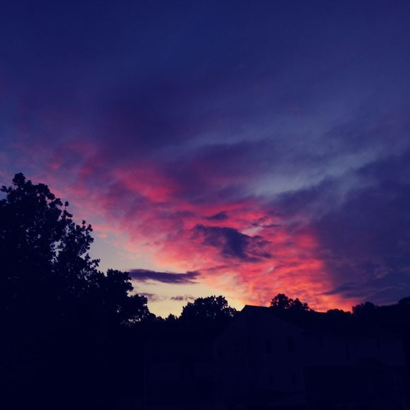 Meet your Posher, Dante - Picture 1 of 1